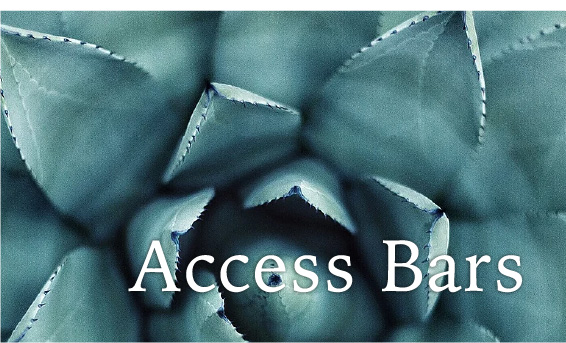 accessbar
